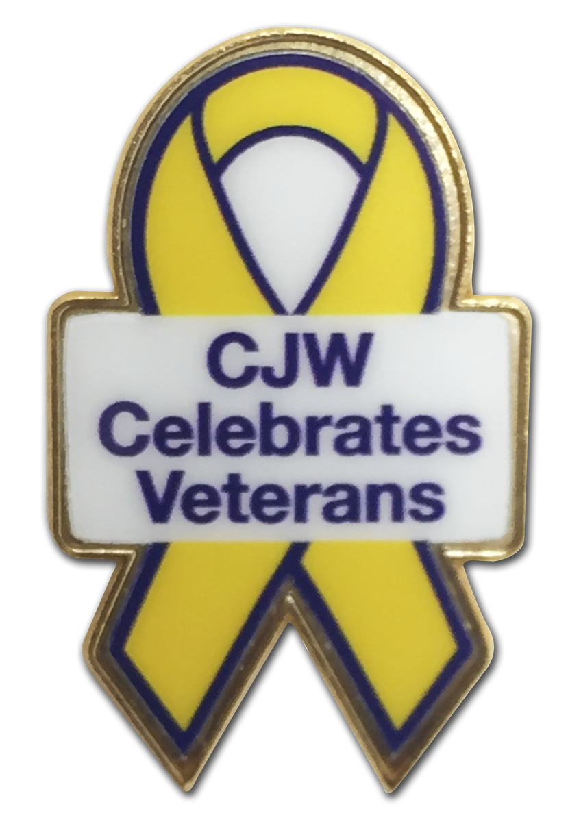 USA AWARENESS RIBBON PINS